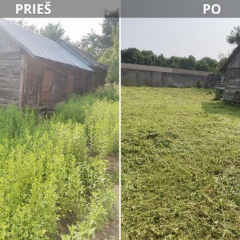 Sklypas prieš ir po pjovimo