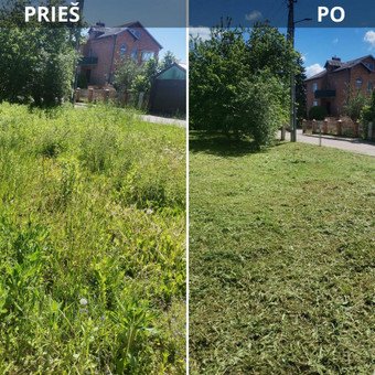 Apleista teritorija prieš ir po tvarkymo